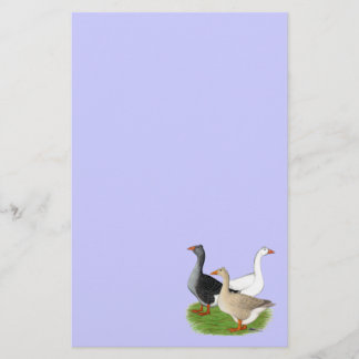 Geese:  Tufted Trio Stationery