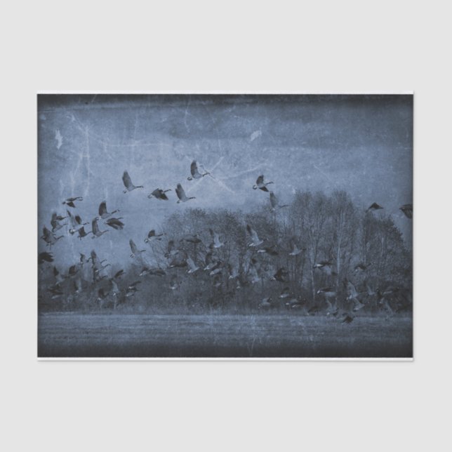 Geese Vintage Antique Blue Texture Decoupage Tissue Paper (Front)