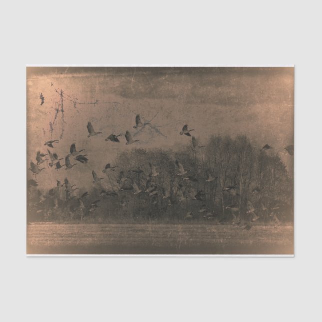 Geese Vintage Antique Brown Texture Sunset Tissue Paper (Front)