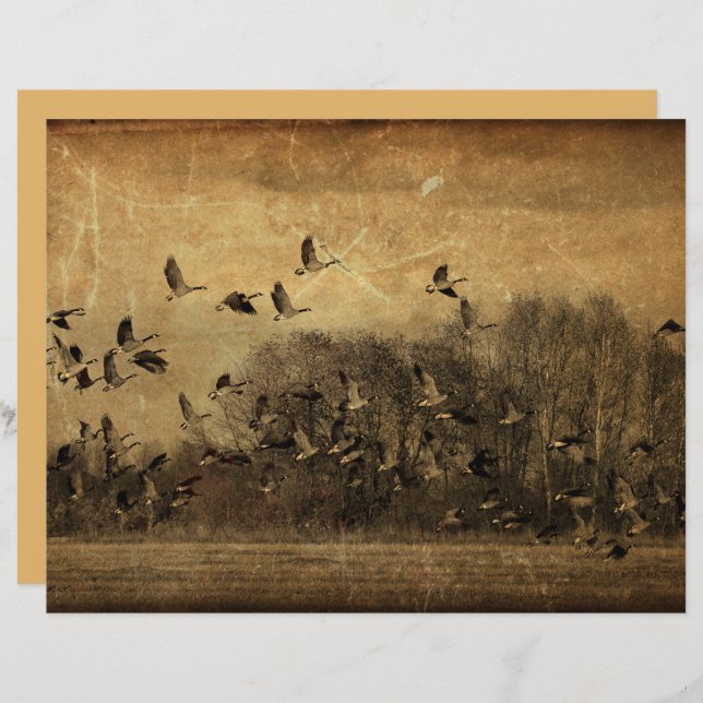 Geese Vintage Antique Sepia Wildlife Texture (Front/Back)