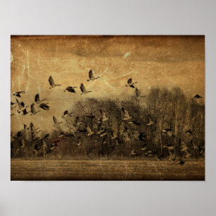 Geese Vintage Antique Sepia Wildlife Texture Poster