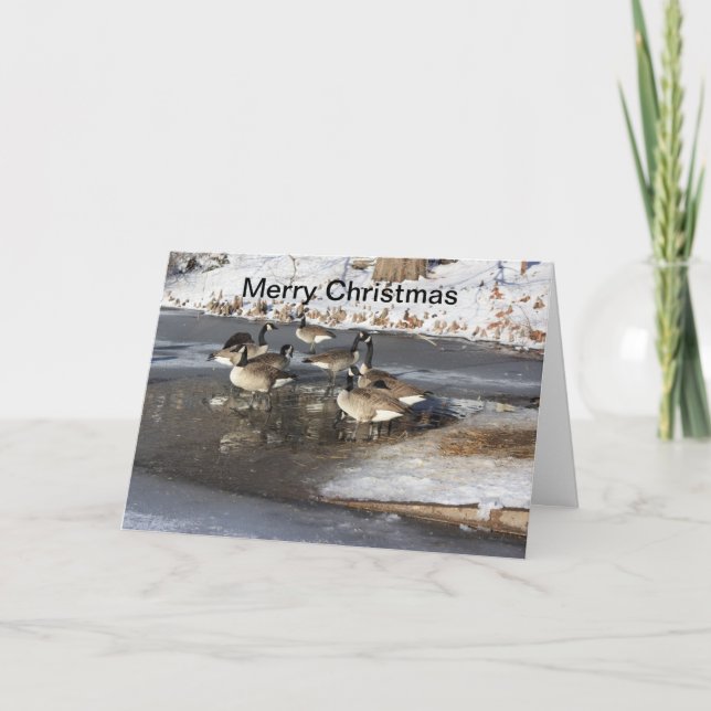 Geese Waiting Holiday Card (Front)