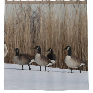 Geese Waterfowl on Shower Curtain
