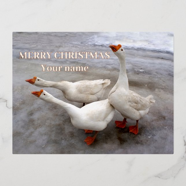 Geese white   foil holiday postcard (Front)