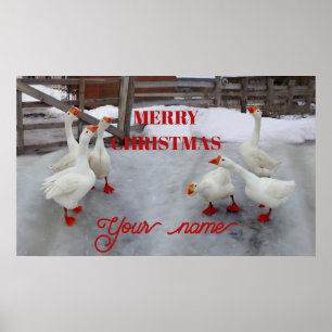 Geese white poster