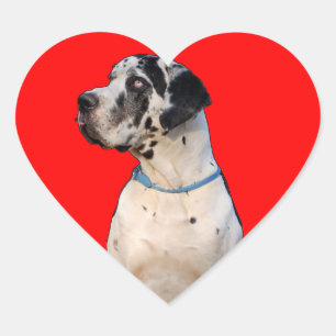 Gefleckte Dogge Heart Sticker