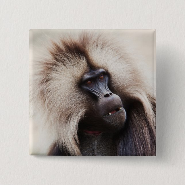 Gelada Baboon, Ethiopia 15 Cm Square Badge (Front)