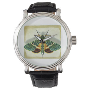 gelechiid moth 220924IREF212 - Watercolor Watch
