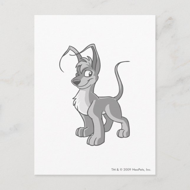 Gelert Silver Postcard (Front)