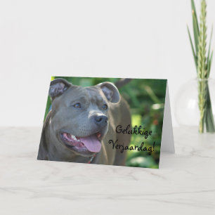 Gelukkige Verjaardag Pitbull dog greeting card