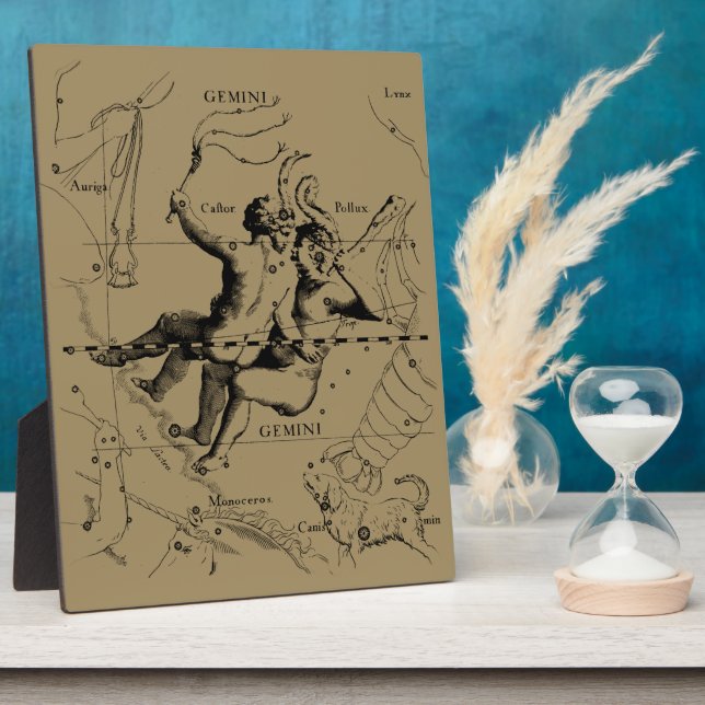 Gemini Constellation Zodiac Hevelius 1690 Plaque (Side)