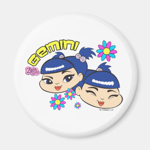 Gemini Magnet