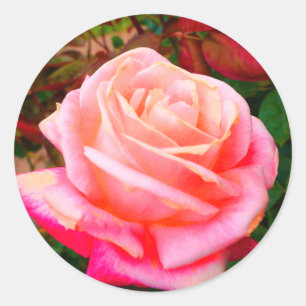 Gemini Rose #2 Stickers