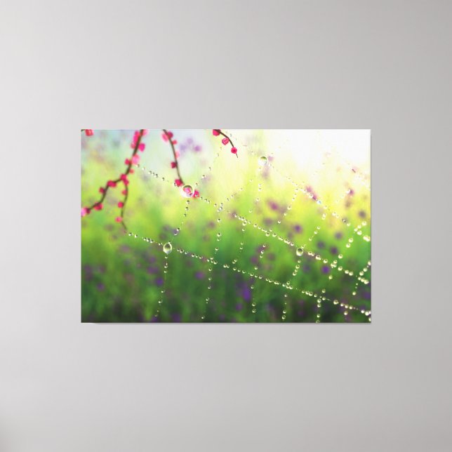 Gems of a Spring Morning Canvas Print (Front)