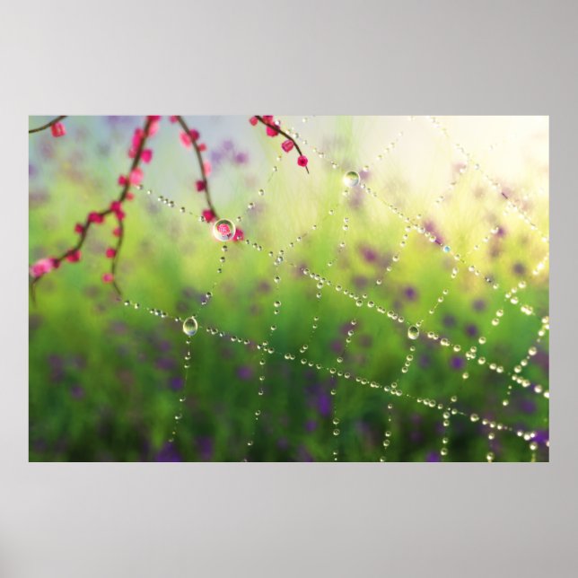 Gems of a Spring Morning Print (Front)