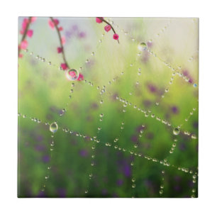 Gems of a Spring Morning Tile / Trivet