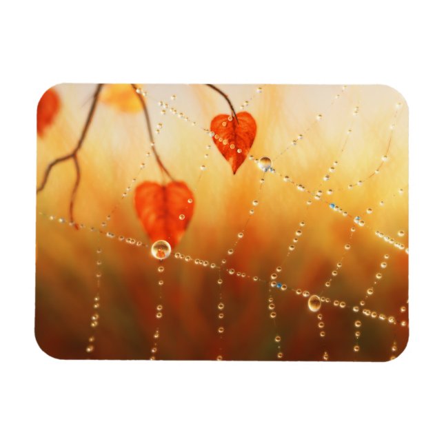 Gems of an Autumn Morning Flexible Magnet (Horizontal)