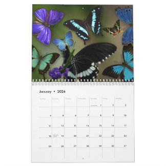 Gems of the Air Calendar