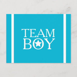 Gender Reveal Aqua Blue Team Boy A01A Postcard