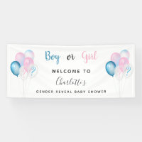 Gender reveal baby shower boy girl blue pink white