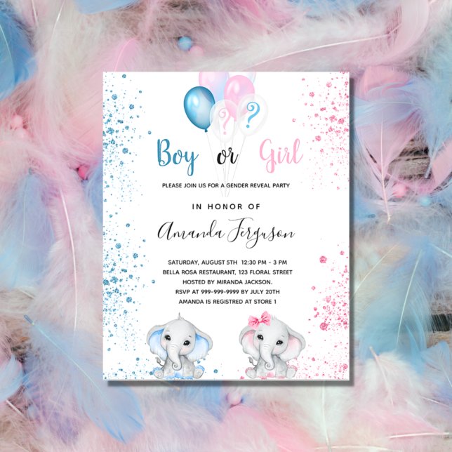 Gender reveal baby shower budget invitation flyer (Creator Uploaded)