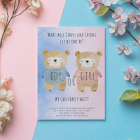 Gender Reveal Bears starry pink blue background