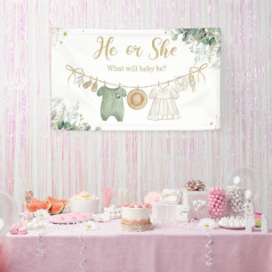 Gender Reveal Boy or Girl Blue Pink Ballons Banner