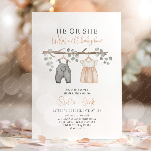 Gender Reveal He or She Clothesline  Invitation (He or She, What will baby be? Gender Reveal Invitation)