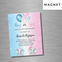 Gender reveal party blue pink boy girl luxury