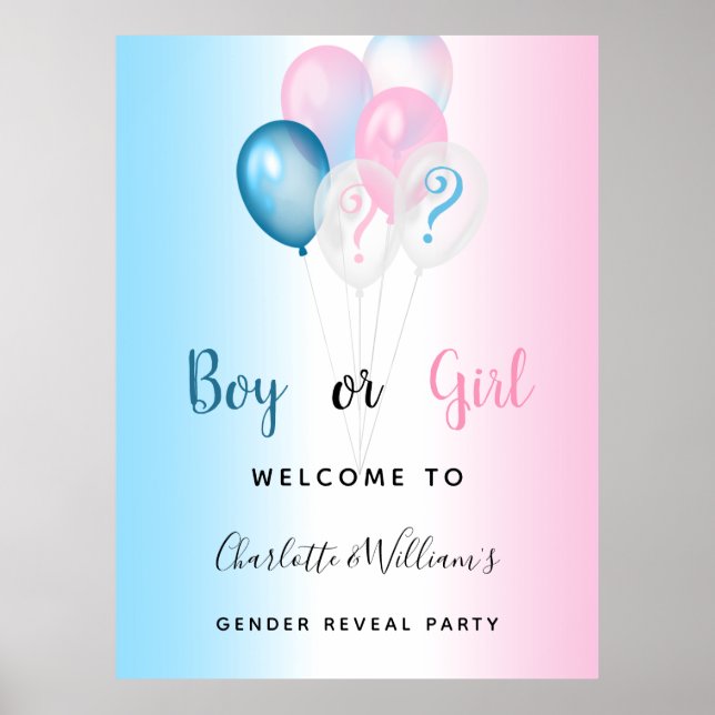 Gender reveal party boy girl blue pink welcome poster (Front)