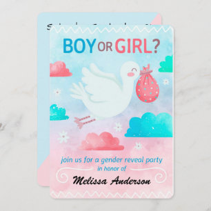 Gender Reveal Party Holiday Card