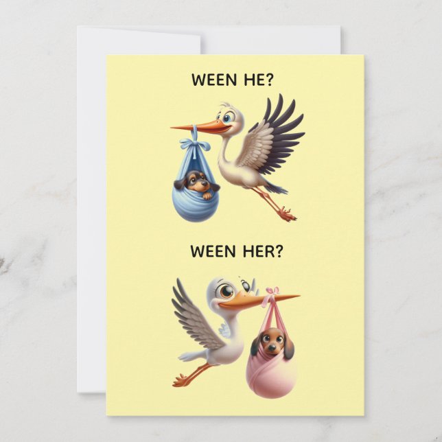 GENDER REVEAL PARTY INVITATION (Front)