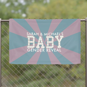 Gender Reveal Pink and Blue Baby Shower Banner