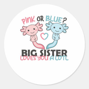 gender reveal pink or blue Big Sister loves you Classic Round Sticker