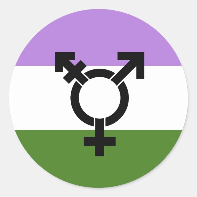 Genderqueer Pride Flag Classic Round Sticker (Front)