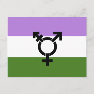 Genderqueer Pride Flag Postcard