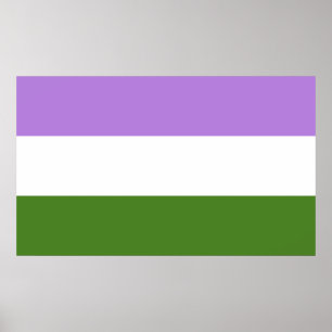 Genderqueer Pride Flag Poster