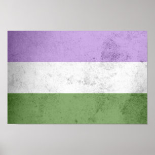 Genderqueer Pride Flag Poster