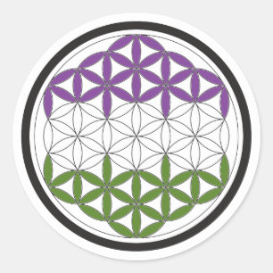 genderQueer sacred geometry Classic Round Sticker