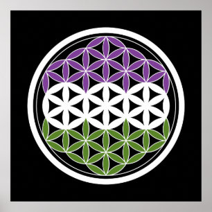 genderQueer sacred geometry Poster