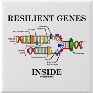 Gene Expression A Part Of Life (DNA Replication) 6 Cm Round Badge