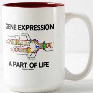 Gene Expression A Part Of Life (DNA Replication) Two-Tone Coffee Mug