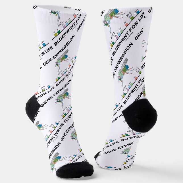 Gene Expression Blueprint For Life Homeobox Genes Socks (Angled)