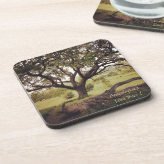 Genealogists Love Trees Coasters set of 6