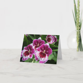 General purpose floral notecard - Raspberry Orchid