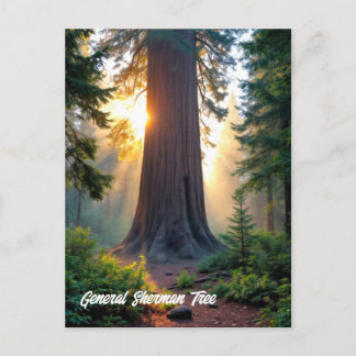 General Sherman Tree - California Postcard
