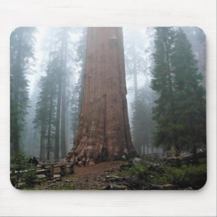 General Sherman Tree, Sequoia, CA Mouse Pad