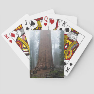 General Sherman Tree, Sequoia, CA Playing Cards
