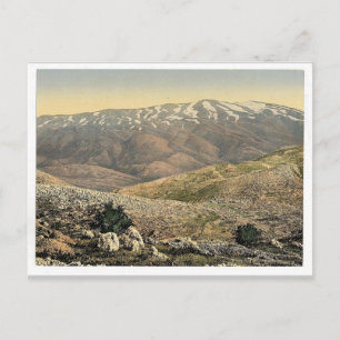 General view, Mount Hermon, Holy Land (i.e., Leban Postcard