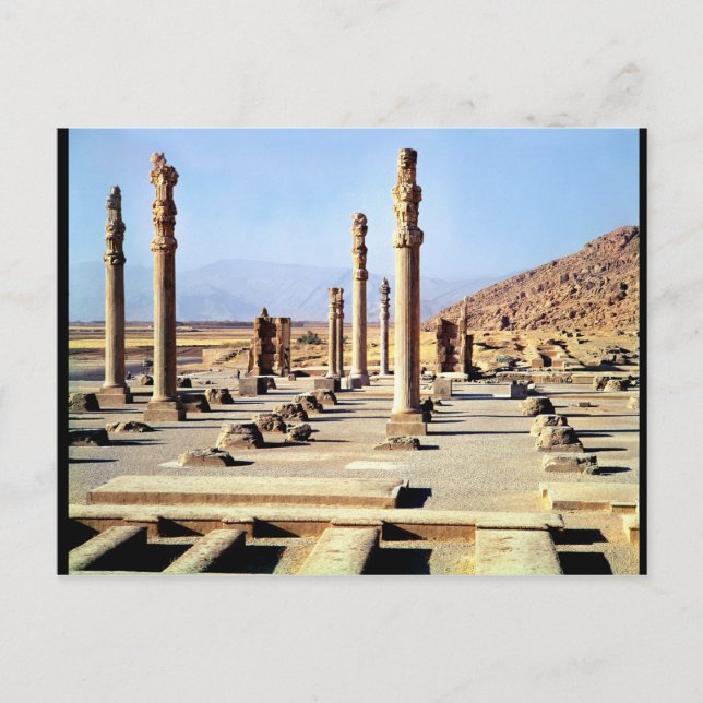 General view of the Apadana  founded c.518 BC Postcard (Front)